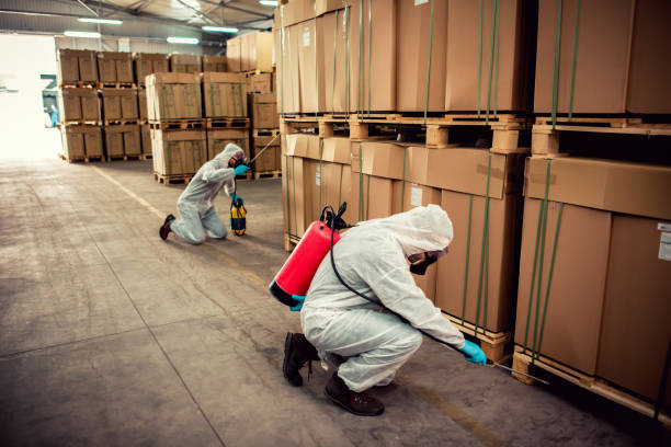 Best Flea Control Services  in Fort Riley, KS