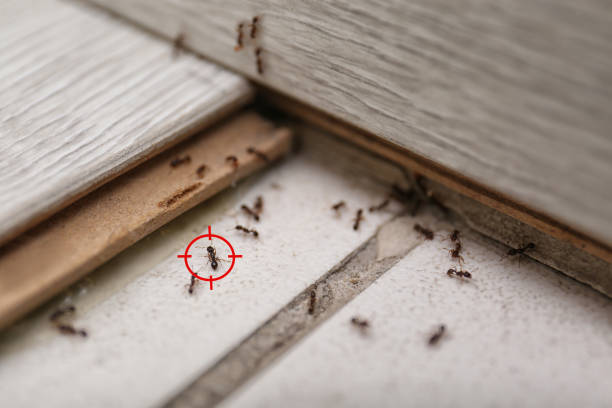 Wildlife Control Services in Fort Riley, KS