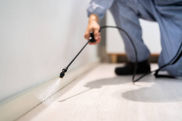 Best Pest Removal Services  in Fort Riley, KS