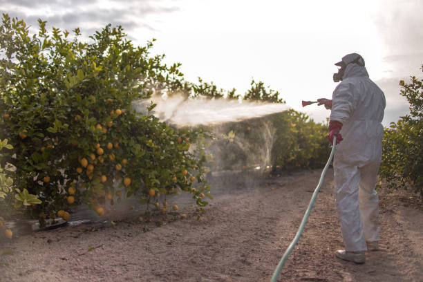 Professional Pest Control in Fort Riley, KS