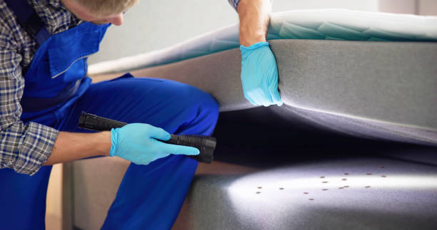 Best Pest Control Near Me  in Fort Riley, KS