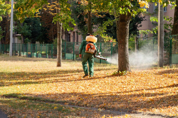 Trusted Fort Riley, KS Pest Control Experts