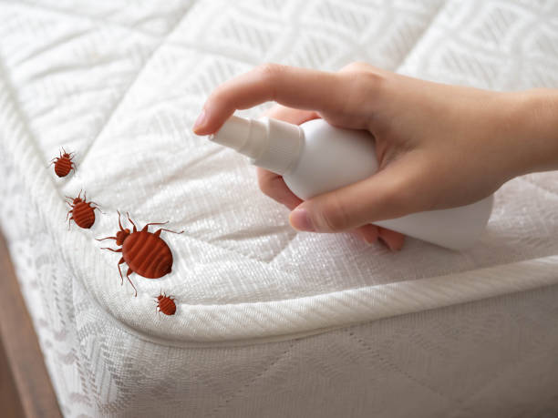Best Pest Removal Services  in Fort Riley, KS