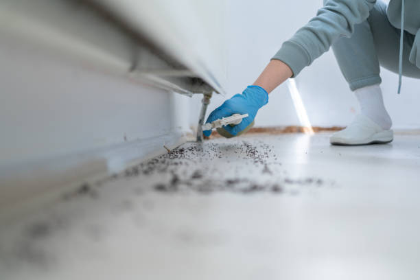 Best Cockroach Control Services  in Fort Riley, KS