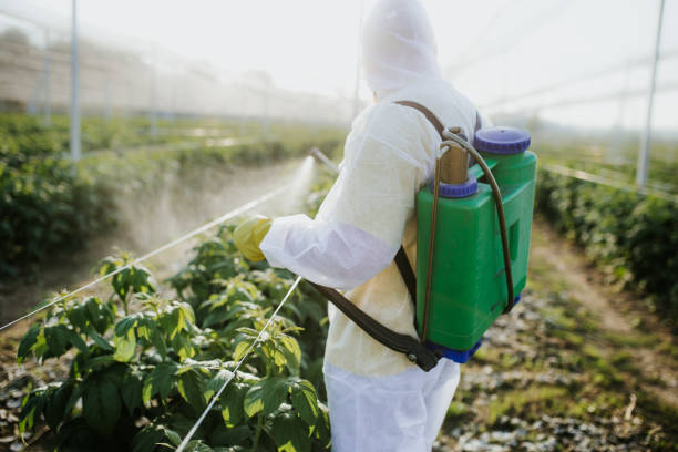 Best Affordable Pest Control Services  in Fort Riley, KS